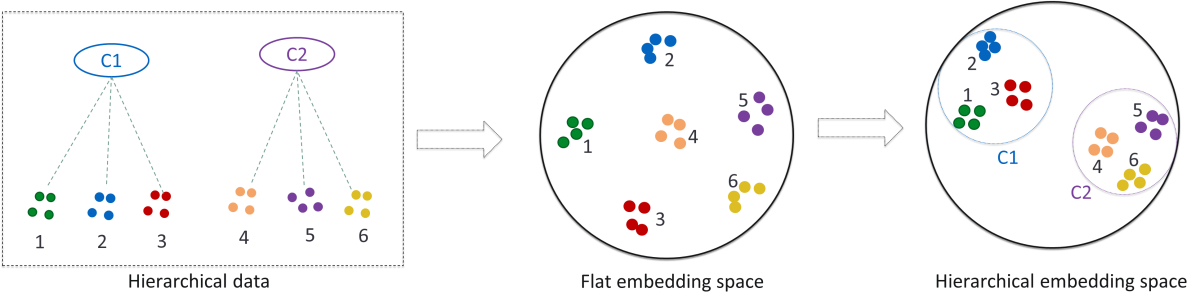 Flat vs. hierarchical embedding spaces.png