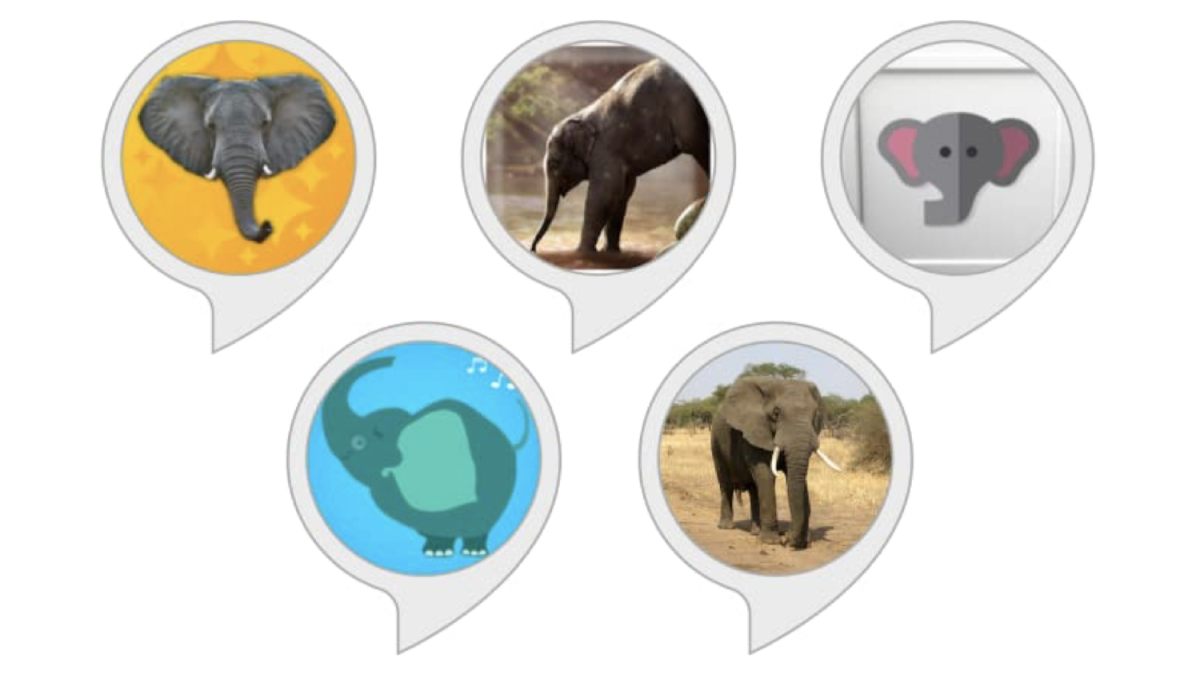 Elephant skills