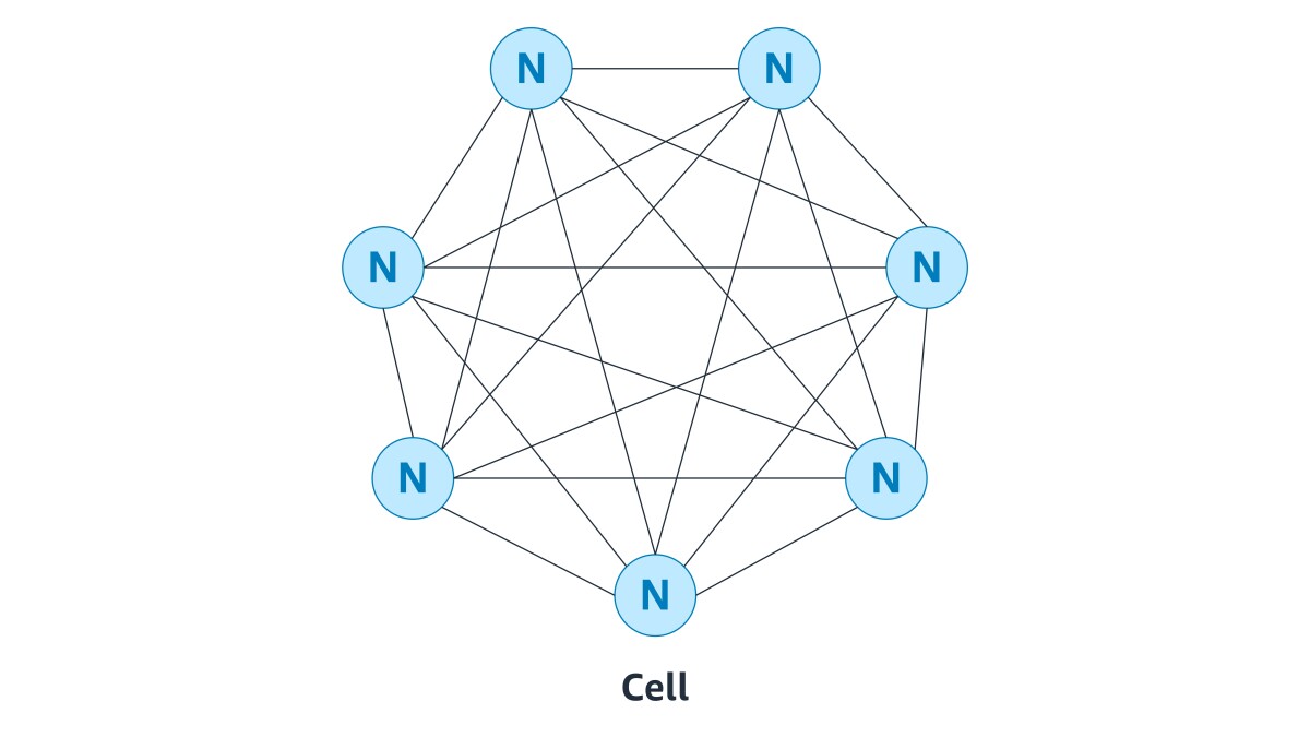 Physalia cell