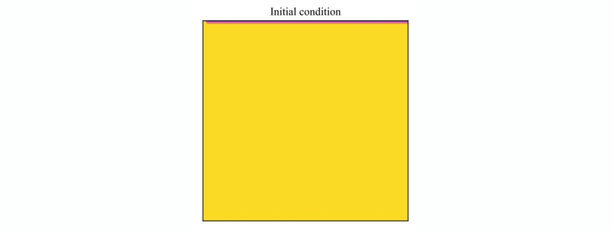 Initial condition.png