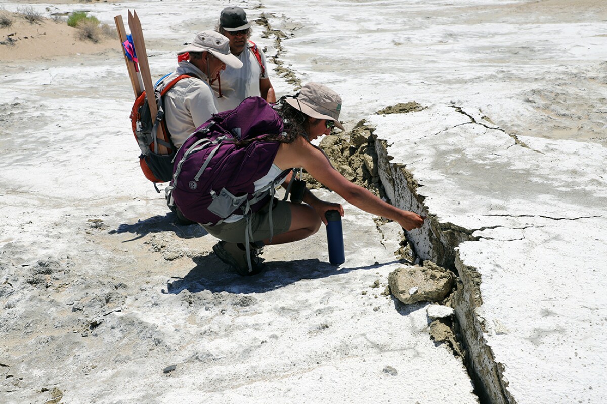 Geologists with USGS, the California Geological Survey (CGS) and Naval Air Weapons Station China Lake (NAWS) worked together in response to the Ridgecrest earthquake sequence in California that occurred July 4-6, 2019. The earthquakes were large enough that the fault rupture reached the earth’s surface. Here, research geologist Belle Philibosian was part of a USGS field team working with Gordon Seitz (CGS) and Stephan Bock (NAWS) in the Ridgecrest area on the NAWS documenting fault offsets through direct measurements using tools ranging from tape measures to mobile laser scanning.