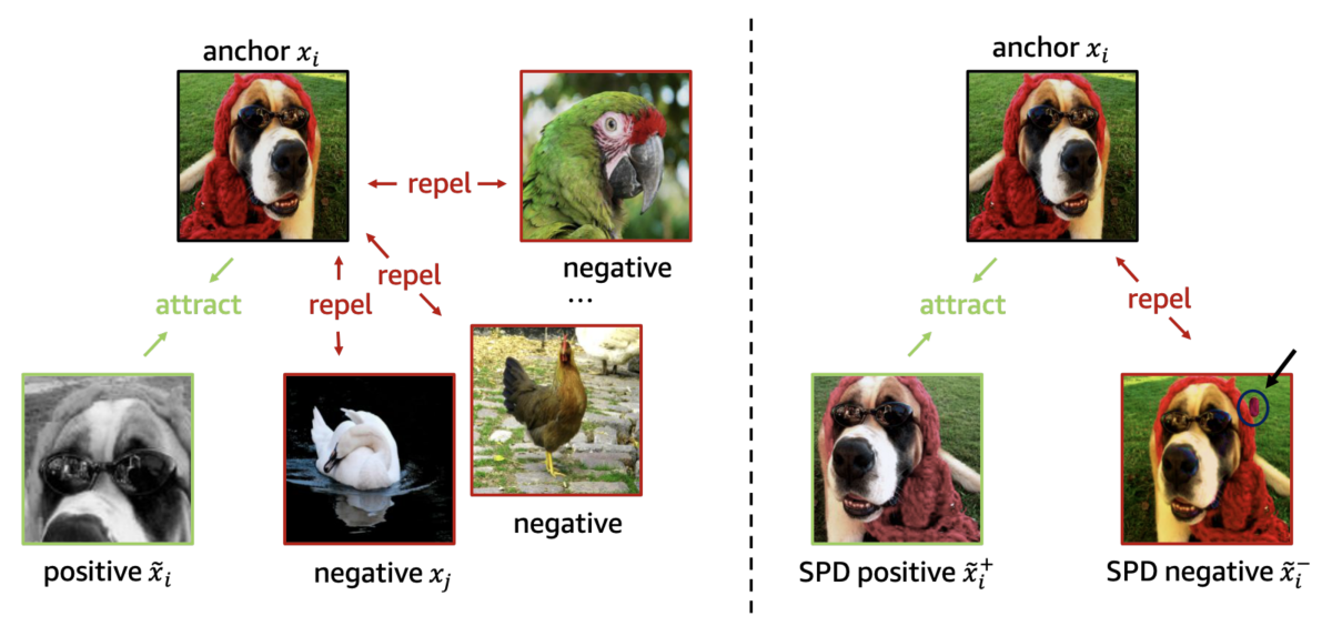 SPD contrastive learning.png