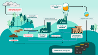 Stylized representations of a forest, cut logs, a paper mill, an energy plant, and decarbonized packaging boxes, showing (1) carbon flowing from the atmosphere to the forest and logs; (2) pulpwood, recycled boxes, and steam and electricity from the energy plant passing to the paper mill; (3) black liquor from the paper mill and woodwaste from the pulping process flowing to the energy plant; and sequestered carbon from the energy plant being stored underground.