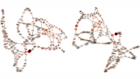 Protein graphs.16x9.png