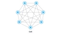 Physalia cell