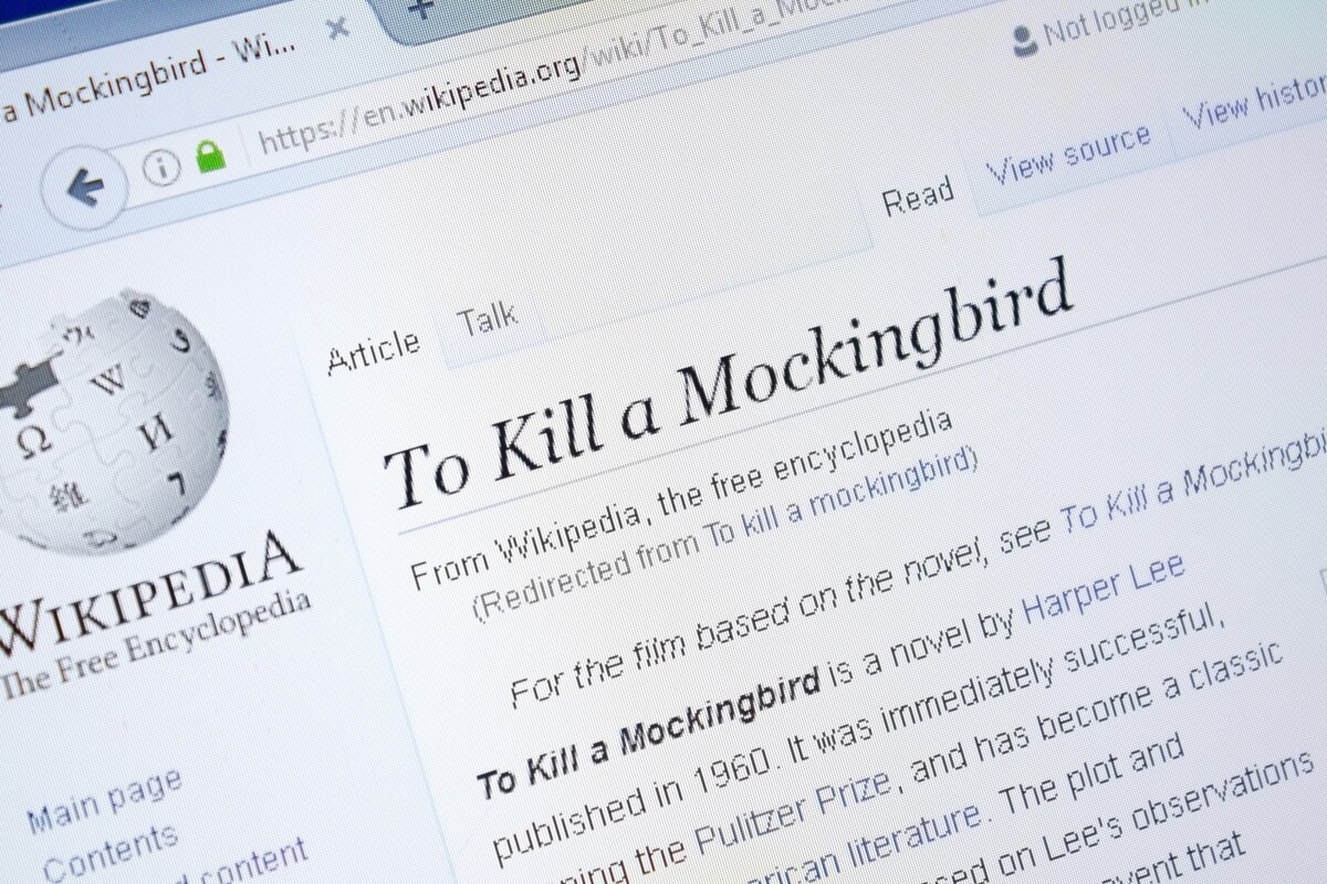 Excerpt from To Kill a Mockingbird