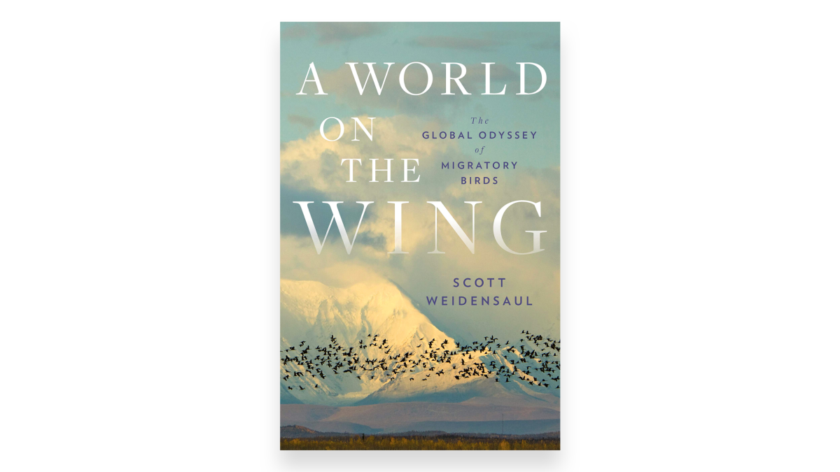 A World on the Wing by Scott Weidensaul