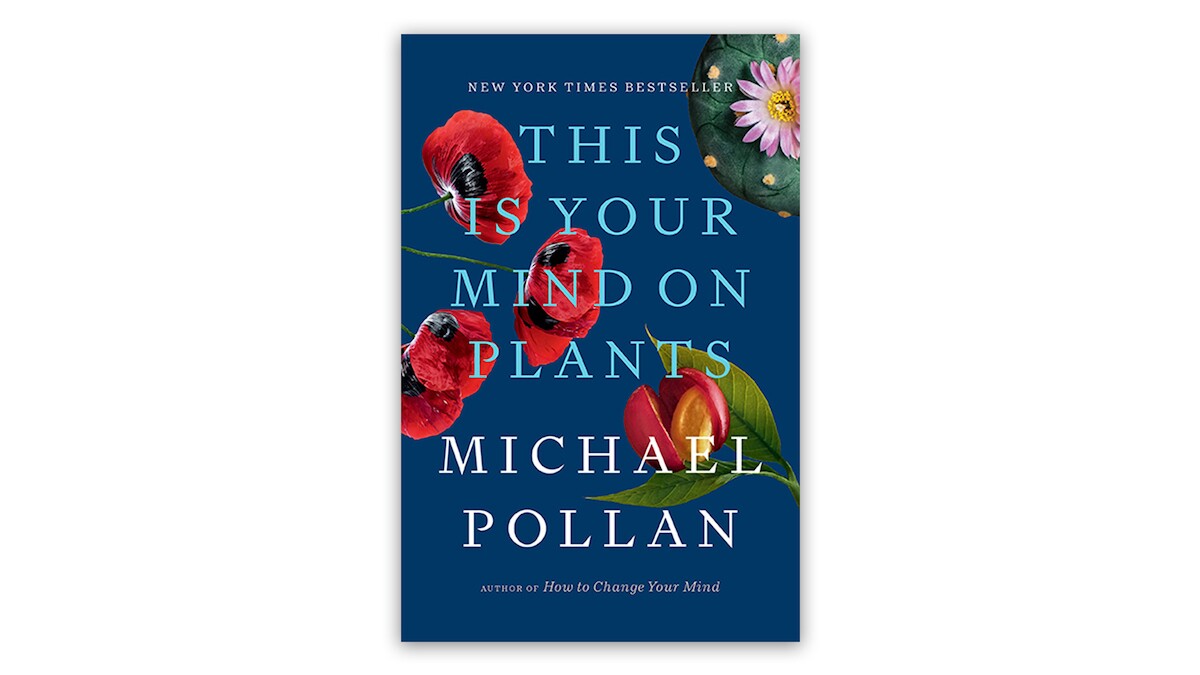 This is your mind on plants