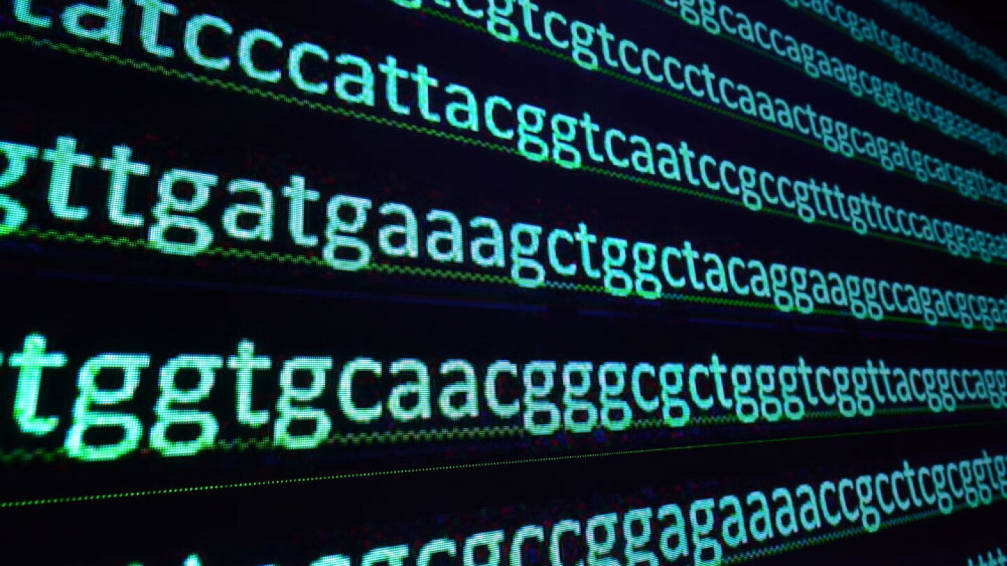 Sequence of nucleotide bases in DNA