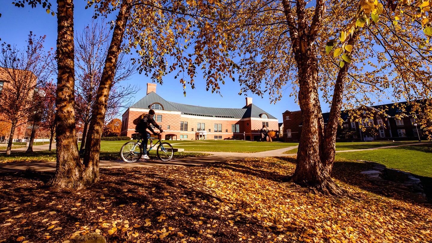 A student is shown biking through part of the UIUC campus on a sunny day during the fall, there are trees and leaves in the foreground and buildings in the background