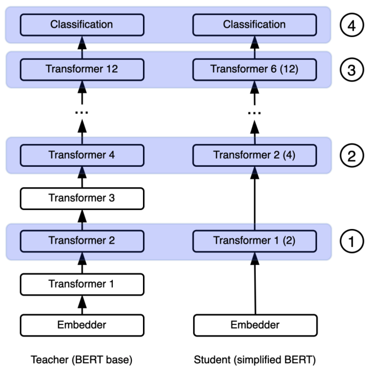 Knowledge distillation from internal representations