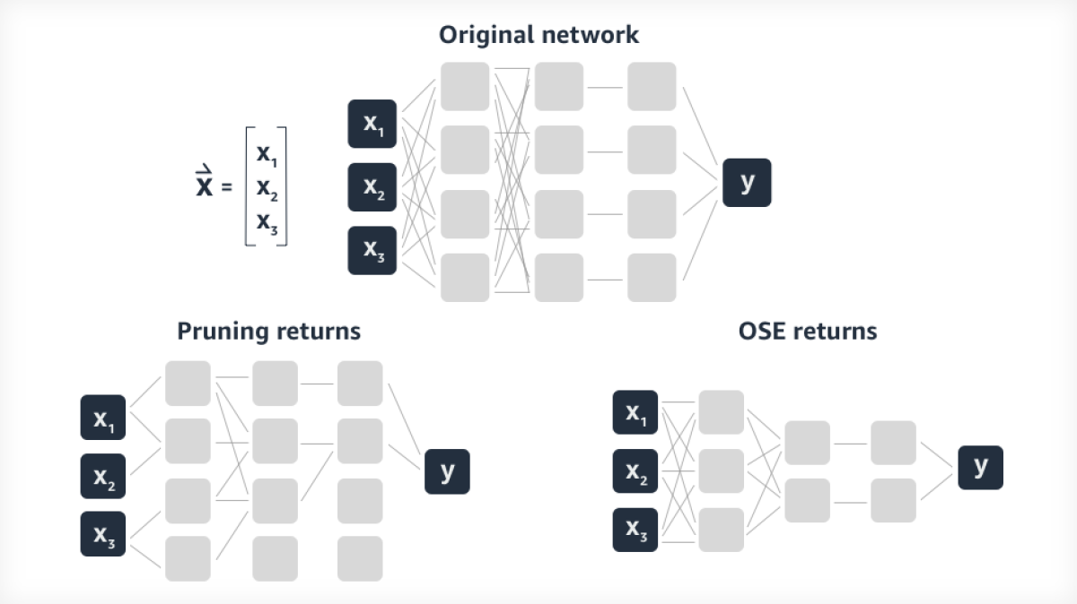 Model showing comparison of weight pruning and optimal subarchitecture extractionfor a toy source network.