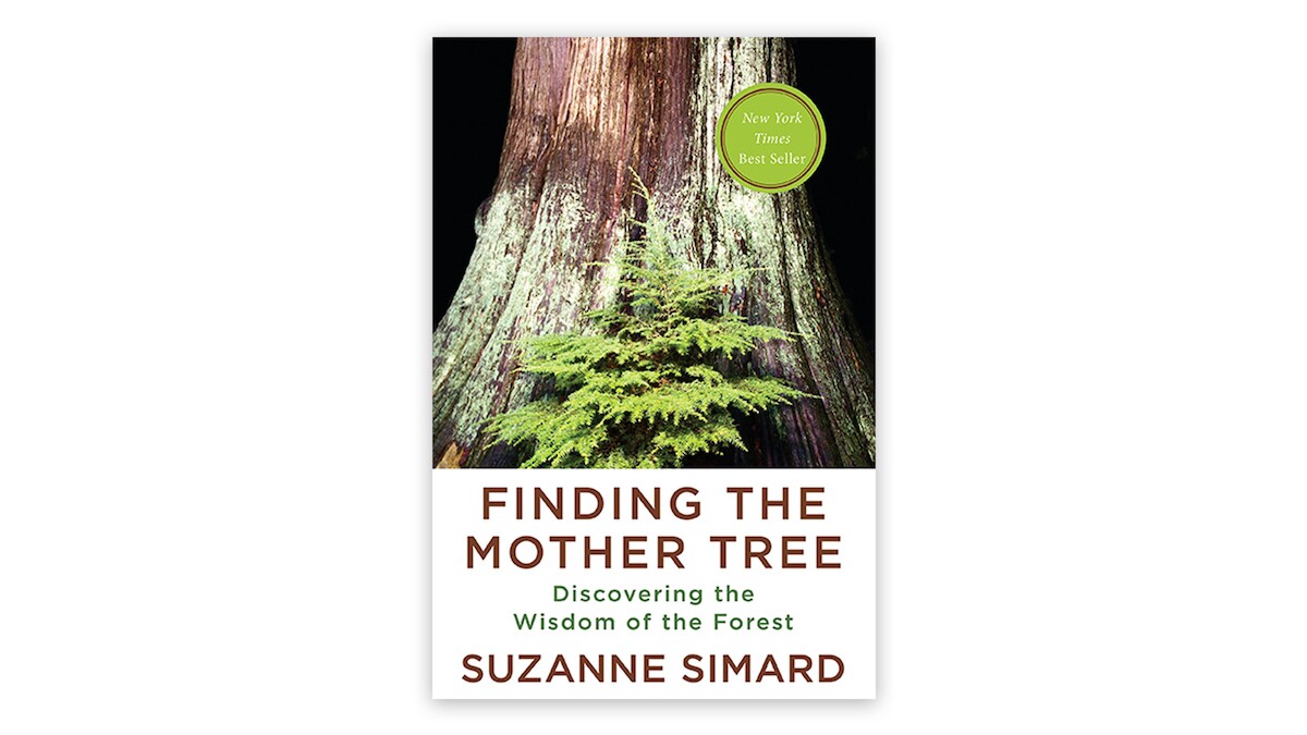 Finding the Mother Tree