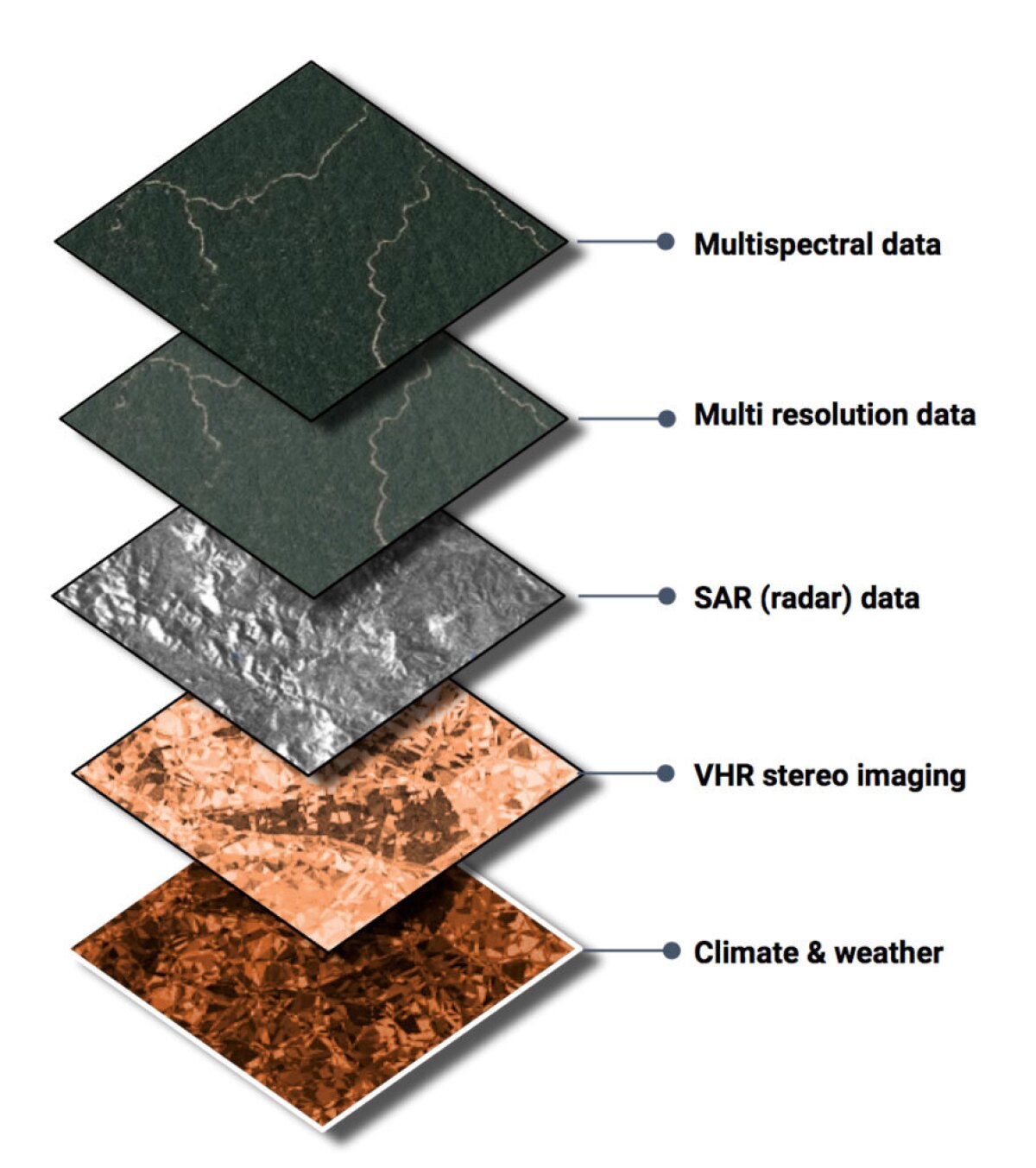20tree_ai satellite imagery input
