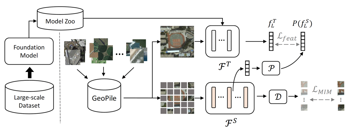 A model architecture diagram showing two processing branches extending from the GeoPile repository, one branch a teacher model and the other a student model. A divided rectangle, representing an intermediary state of the student model, passes through a module marked "P" for projector, and is projected into the representational space of the teacher model.