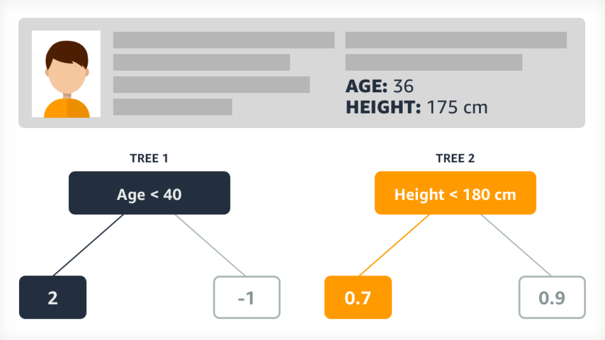 A model consisting of two decision trees, one that imposes an age criterion and one that imposes a height criterion.