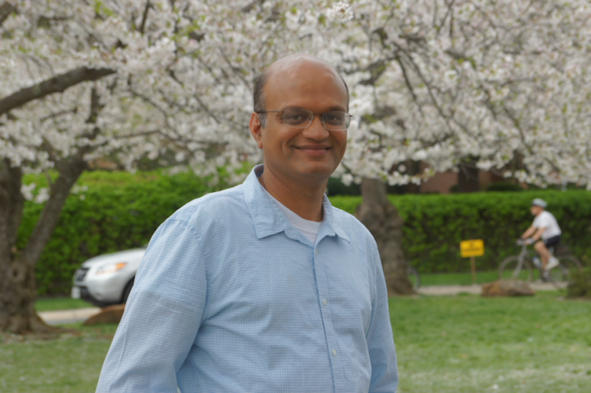 aravind-cherry-blossoms.png
