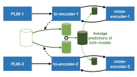 Trans-encoder.png